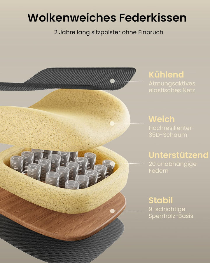 ProtoArc EC100 Bürostuhl Ergonomisch - Höherer Rücken Schreibtischstuhl mit Sitz aus 10CM Dicker Mes