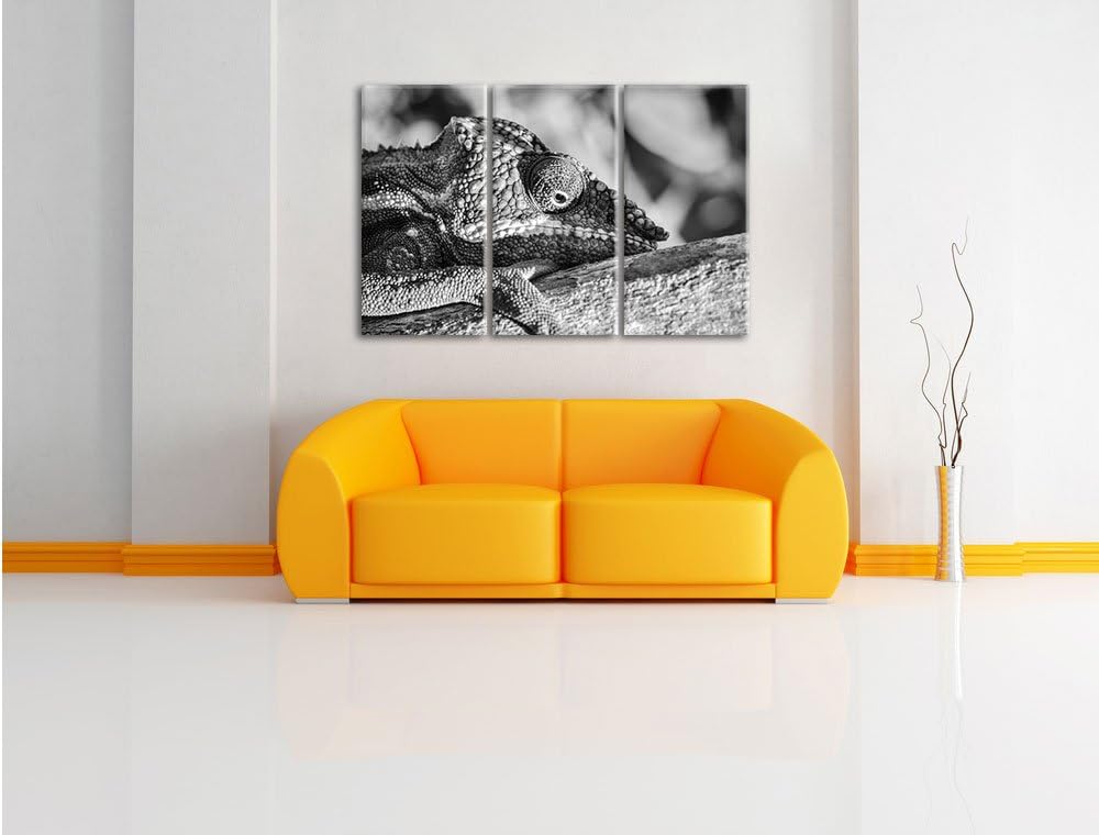 Pixxprint Chamäleon aus Madagaskar Kunst B&W 3-Teiler Leinwandbild 120x80 Bild auf Leinwand