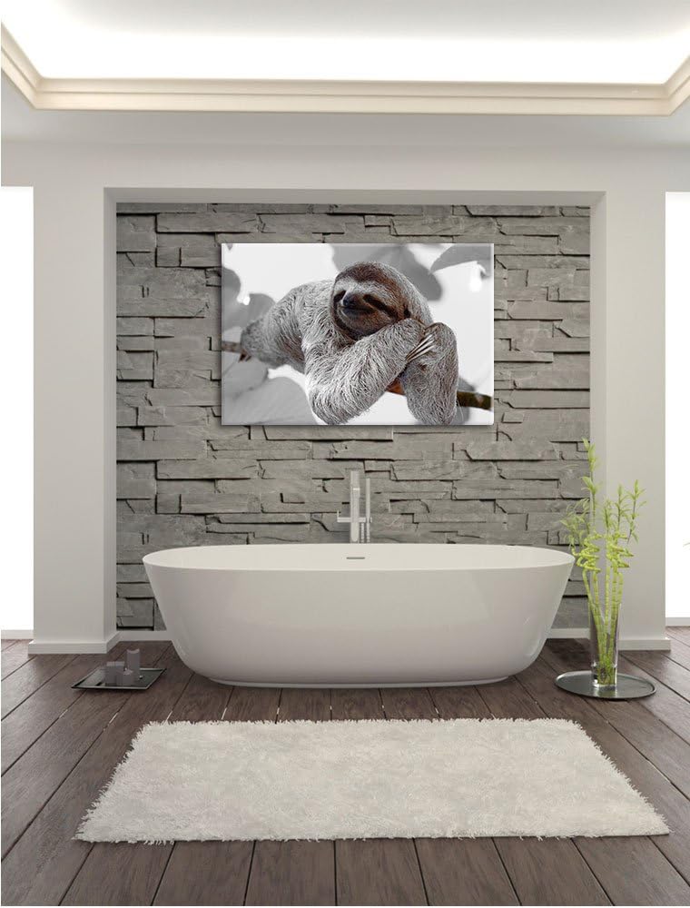 Pixxprint schönes Faultier hängt von AST als Leinwandbild/Grösse: 100x70 cm/Wandbild/Kunstdruck/fert