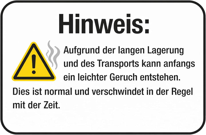 Mini Reise-Warmluftbürste, PARWIN PRO BEAUTY Ovale Föhnbürste mit automatischer Doppelspannung 110–2