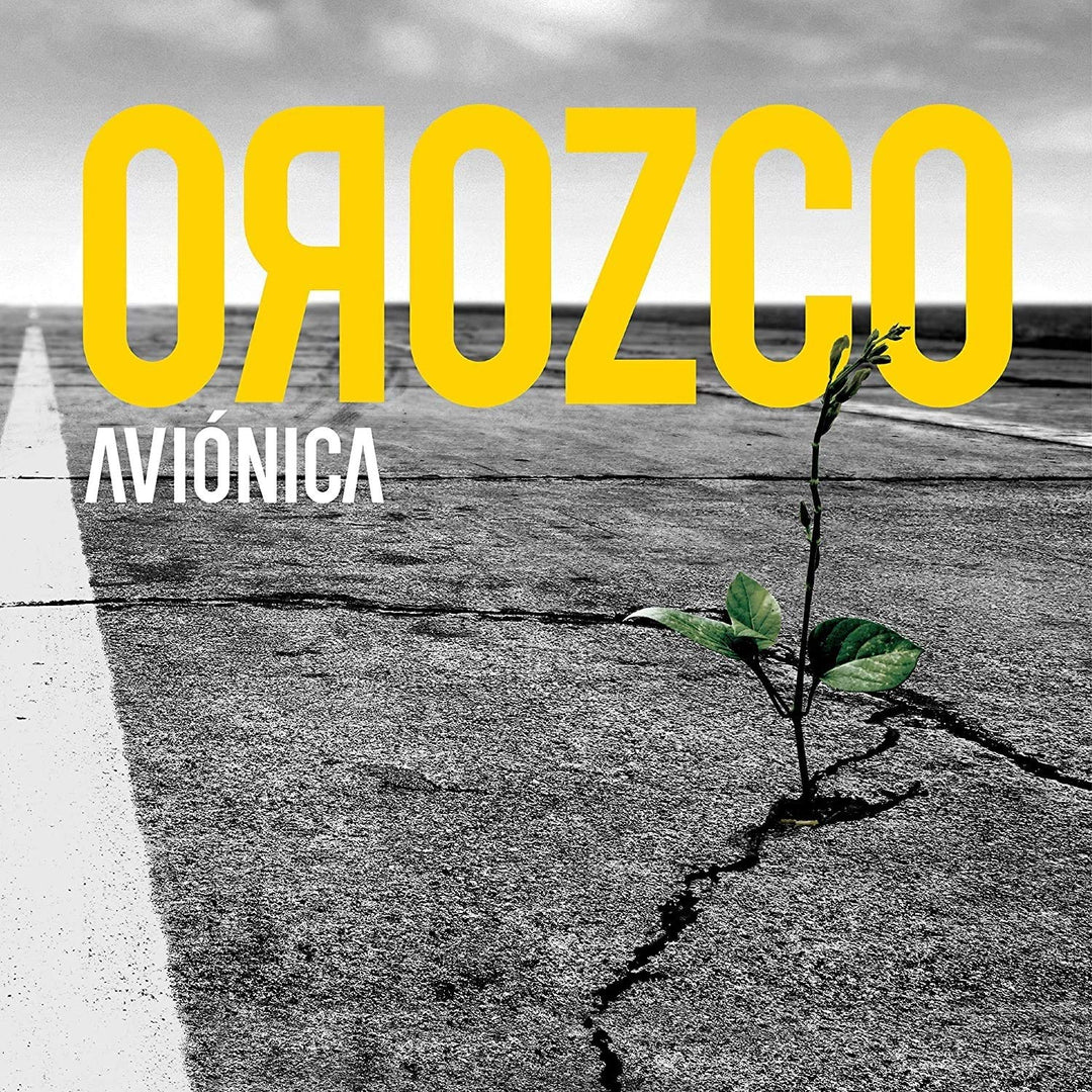 Avionica, Vinyl