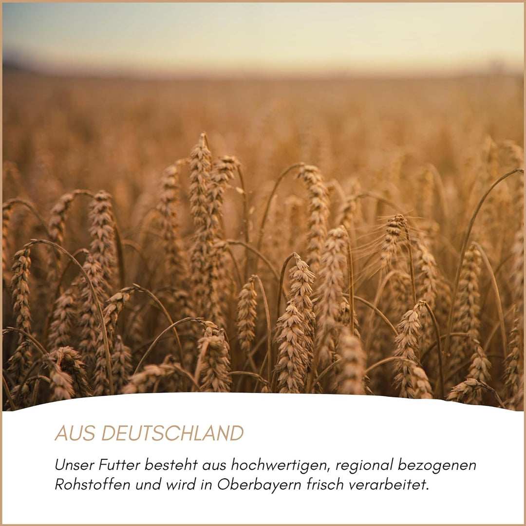 SUPRAVIT Super Diät Taubenfutter 25kg ohne Mais für Tauben während der Reisesaison | Futter für Taub