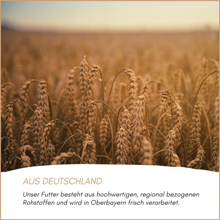 SUPRAVIT Super Diät Taubenfutter 25kg ohne Mais für Tauben während der Reisesaison | Futter für Taub