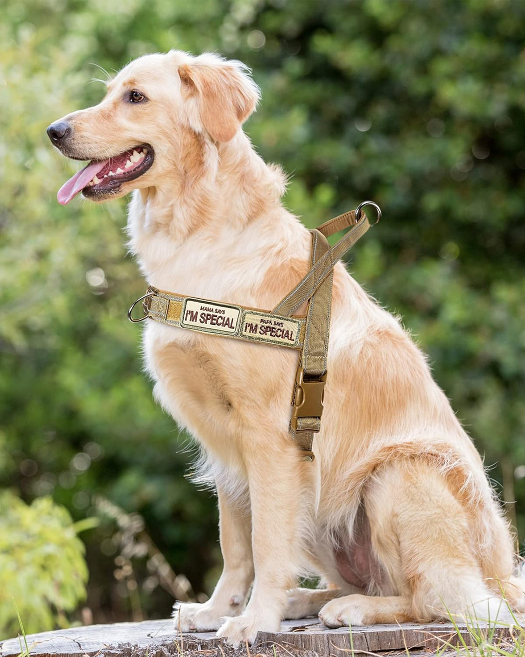 Eeyfarog No Pull Hundegeschirr für kleine mittelgrosse Hunde, reflektierend ausbruchsicher verstellb