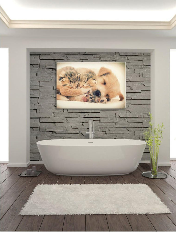 Pixxprint Hundewelpe mit kleinen Kätzchen / 100x70cm Leinwandbild bespannt auf Holzrahmen/Wandbild K