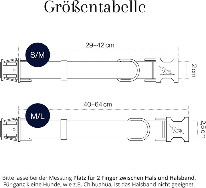 VELVETIER® "Paris" | Halsband Hund im Set mit Leine &amp; Beutelspender | Veganes Leder | Hunde Halsbänd