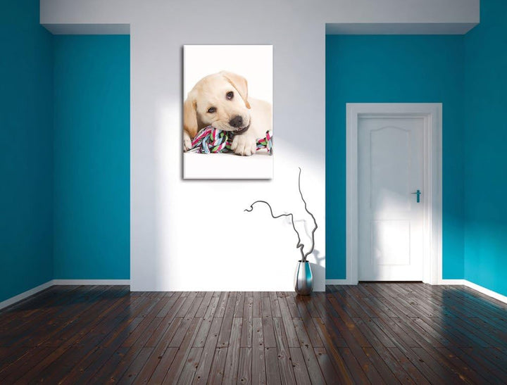 Pixxprint Hundewelpe, Format: 100x70 auf Leinwand, XXL riesige Bilder fertig gerahmt mit Keilrahmen,