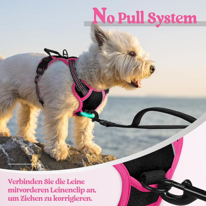 rabbitgoo Hundegeschirr Mittelgrosse Hunde, Anti Zug Geschirr mit Kontrolle, No Pull Verstellbar Hun