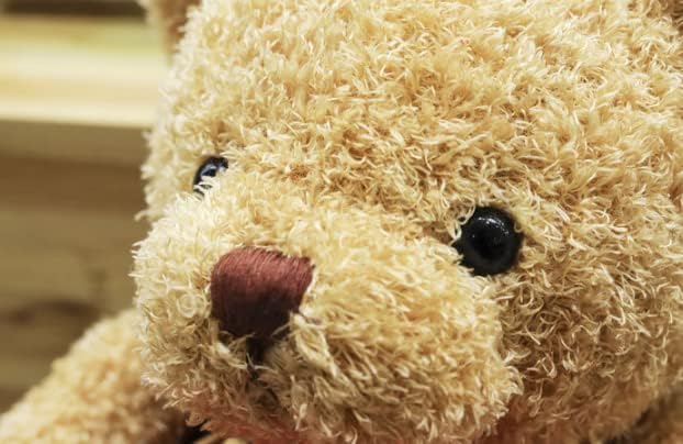 Teddybär Weiches Fell Teddybär mit Kapuze Tatzendruck Plüschtier Kuscheltier Stofftier Geschenk (Pin