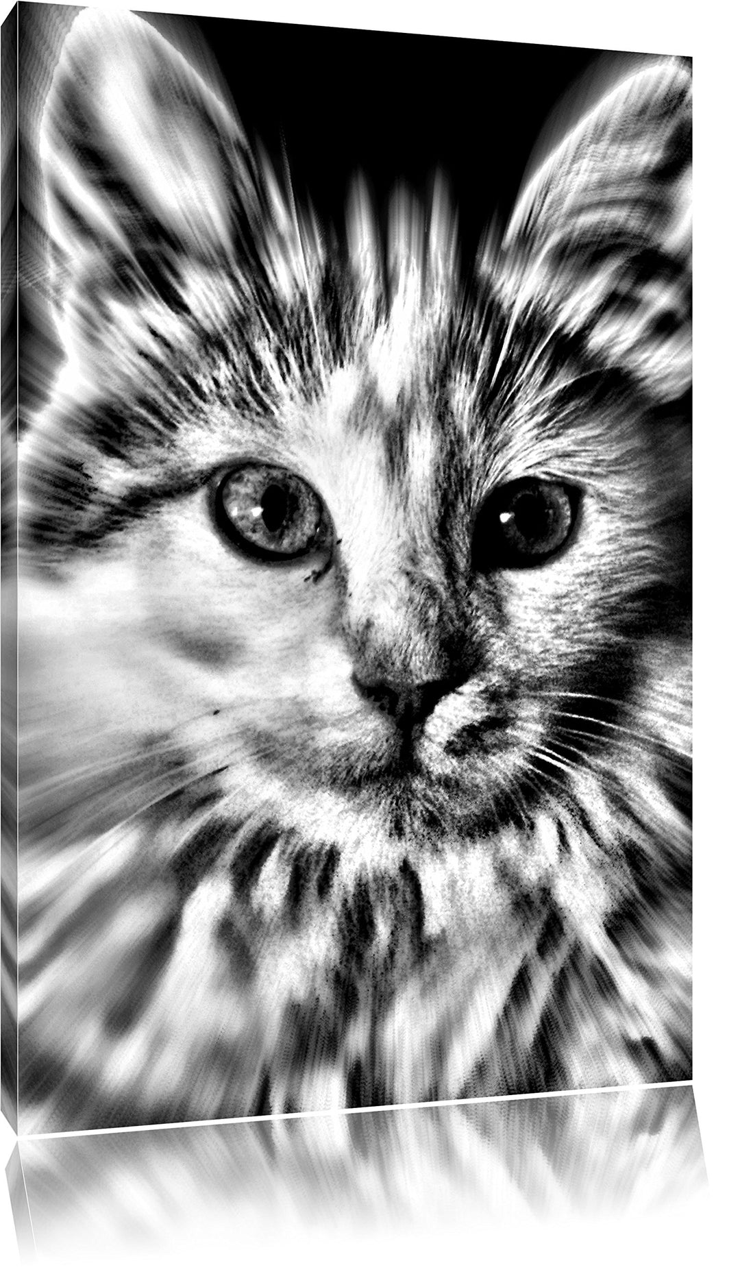 Monocrome, anmutige Katze, Format: 100x70 auf Leinwand, XXL riesige Bilder fertig gerahmt mit Keilra