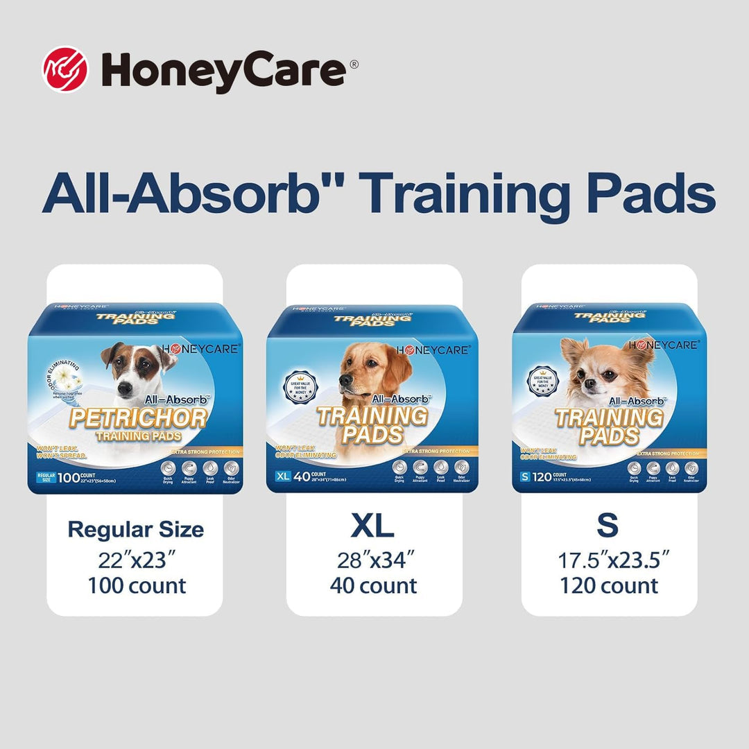 All-Absorb Training Pads 56cm x 58cm 100-count Trainingsunterlagen Für Welpen 100 Stück, 100 Stück