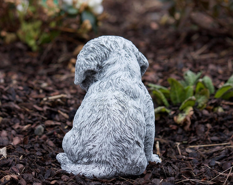 stoneandstyle Steinfigur Berner Sennenhund Welpe, Frost- und wetterfest bis -30°C, massiver Steingus