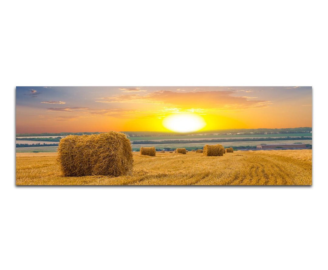Paul Sinus Art Panoramabild auf Leinwand und Keilrahmen 120x40cm Feld Strohballen Herbst Sonnenunter