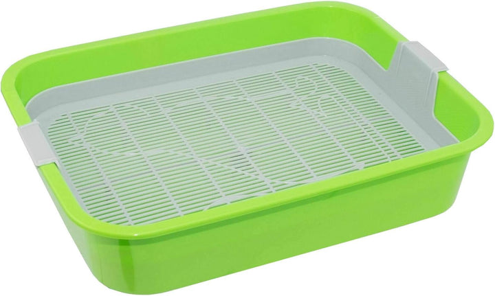 4Big.fun 2x Set Erste Katzentoilette Schalentoilette Katzenklo - perfekt für Kätzchen Katzenbabys Ju