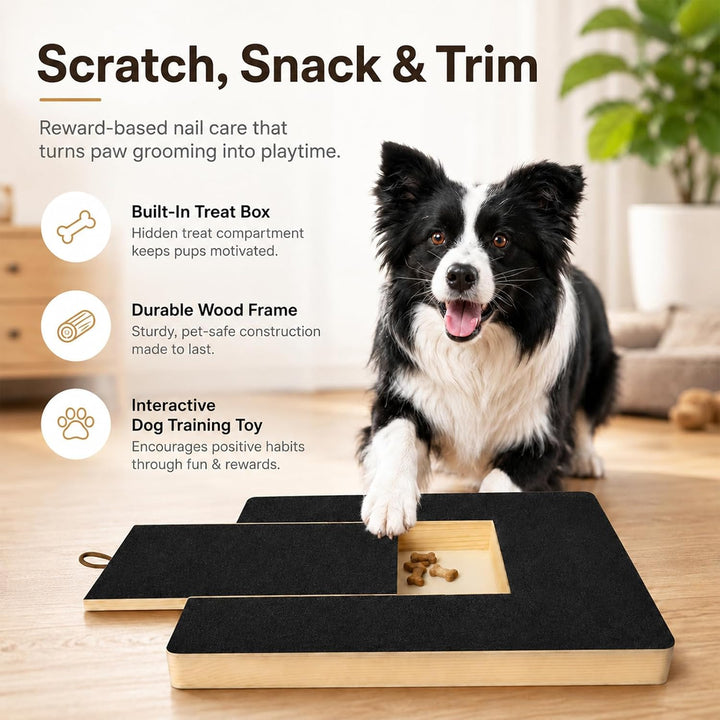 35×25 cm Kratzbrett für Hunde: Hunde Kratzbrett für Nägel mit Leckerlibox, Sandpapierbrett Scratch B