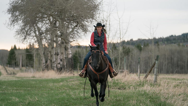 Heartland - Paradies für Pferde, Staffel 11 (Neuauflage) [6 DVDs], DVD