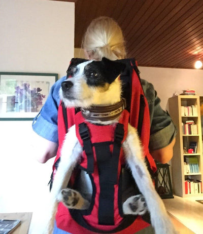 Small PREMIUM Hundetasche als Hunderucksack / Rucksack für Hunde / Hundetrage / Hundetragetasche / H