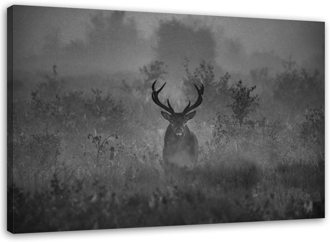 Feeby. Wandbild - 1 Teilig - 50x70 cm, Leinwand Bild Leinwandbilder Bilder Wandbilder Kunstdruck, HI