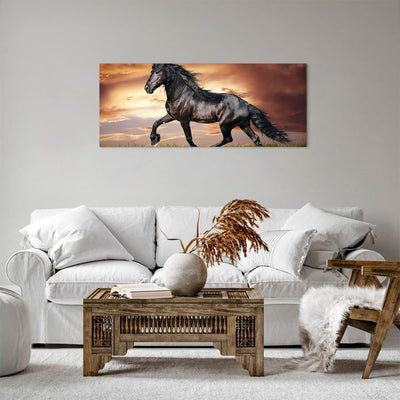 Panorama Bilder auf Leinwand 100x40cm Leinwandbild Pferd Tier Wiese Gross Wanddeko Bild Schlafzimmer