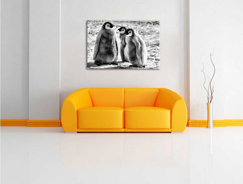 Pixxprint DREI Kaiserpinguinküken/Format: 100x70cm / Leinwandbild fertig bespannt Wandbild Kunstdruc
