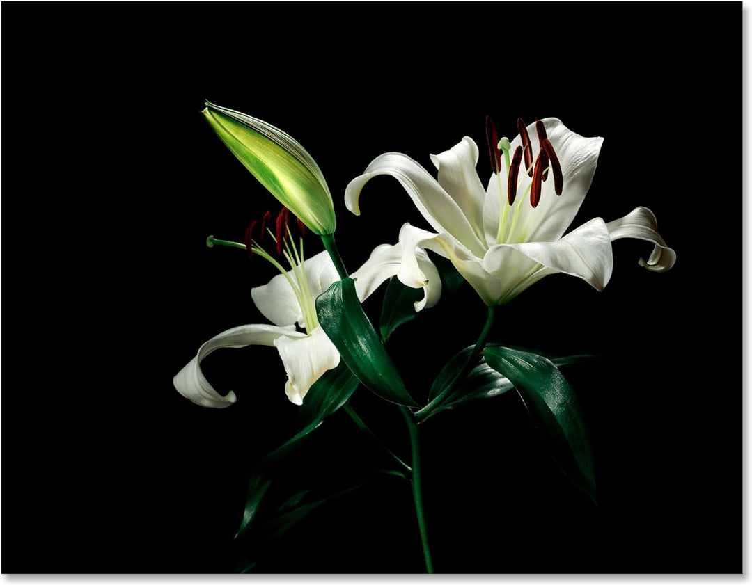 wandmotiv24 Leinwandbild Natur, 80x60cm, Querformat, Blumen, Deko, Bilder auf Leinwand, Wanddeko, XX