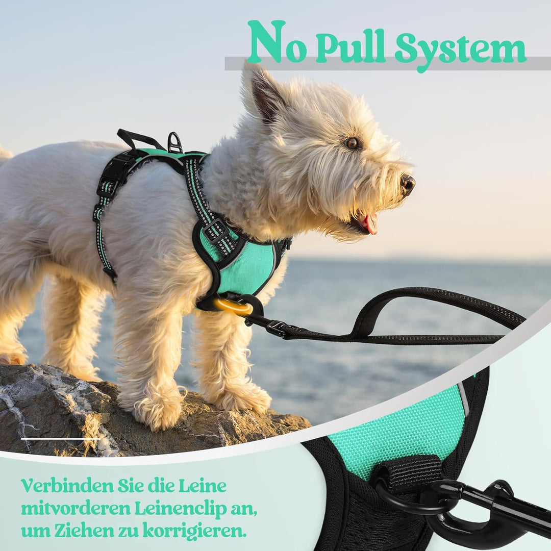 rabbitgoo Hundegeschirr Kleine Hunde, Anti Zug Geschirr mit Kontrolle, No Pull Verstellbar Hundegesc