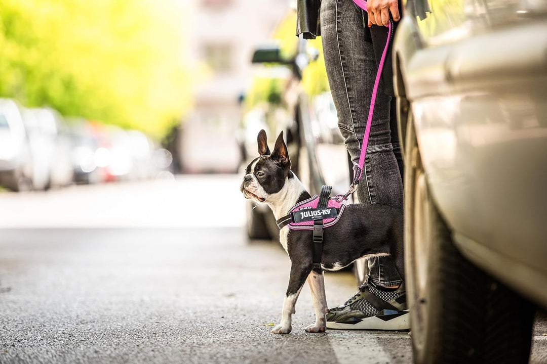 Julius-K9, IDC Powair Hundegeschirr, Grösse: XS / Mini-Mini, Pink Pink XS/Mini-Mini, Pink XS/Mini-Mi