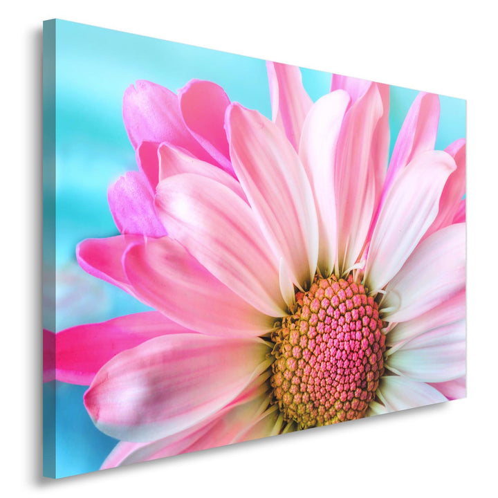 Feeby. BLUME Bild auf Leinwand Grösse: 60x80 cm, 1 Teilig Leinwanbild Wandbild Kunstdrucke Wanddeko