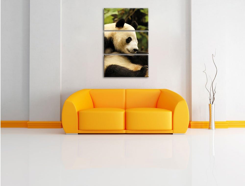 Pixxprint niedlicher Pandabär als Leinwandbild/Grösse: 3 Teilig (120x80) cm/Wandbild/Kunstdruck/fert