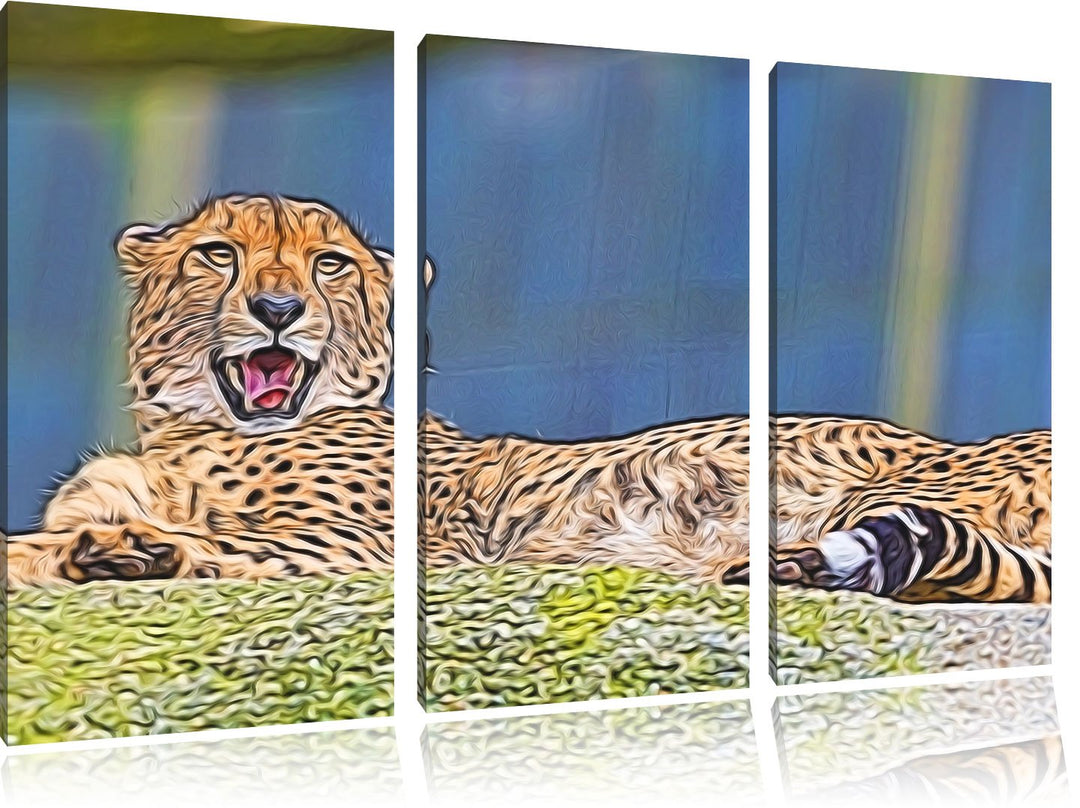 schlafender Gepard Spezial 3-Teiler Leinwandbild 120x80 Bild auf Leinwand, XXL riesige Bilder fertig