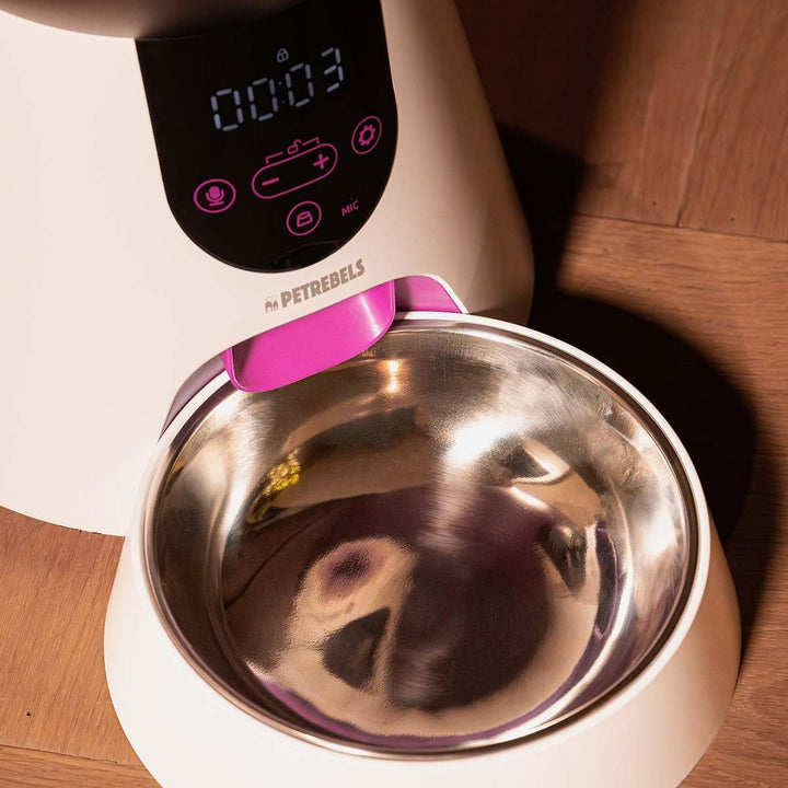 Petrebels Futterautomat Katze, Programmierbar, Mit Sprachaufnahme, 4 Liter, Touchscreen, Food-Expres