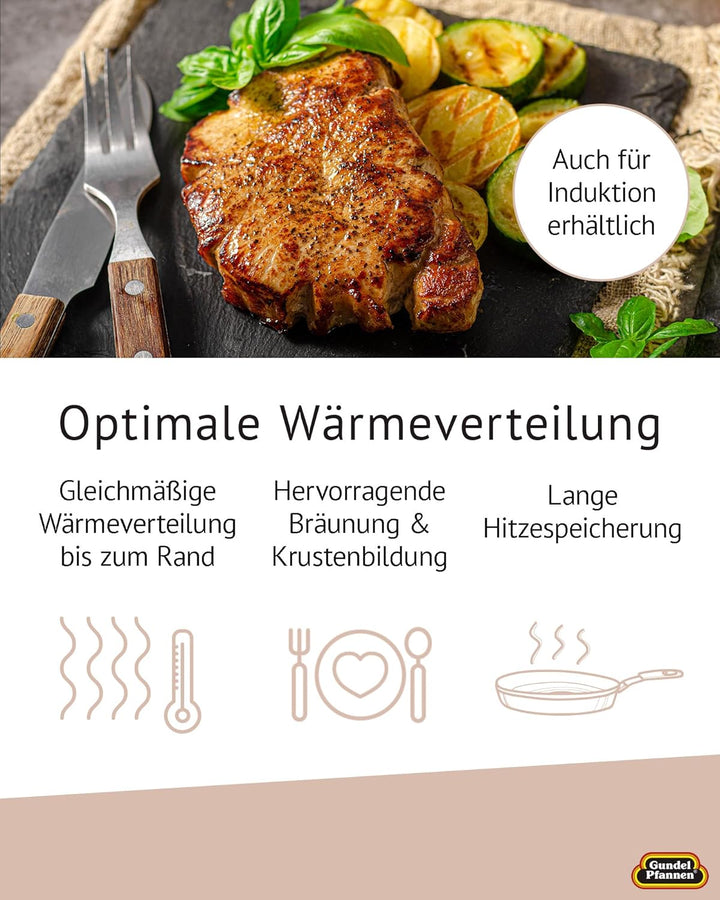 Original Gundel GUSS-BRATPFANNE flach, Ø 26 cm, Höhe 4,5 cm, BIOTAN-Oberfläche, PFOA-frei, Akku-Ther