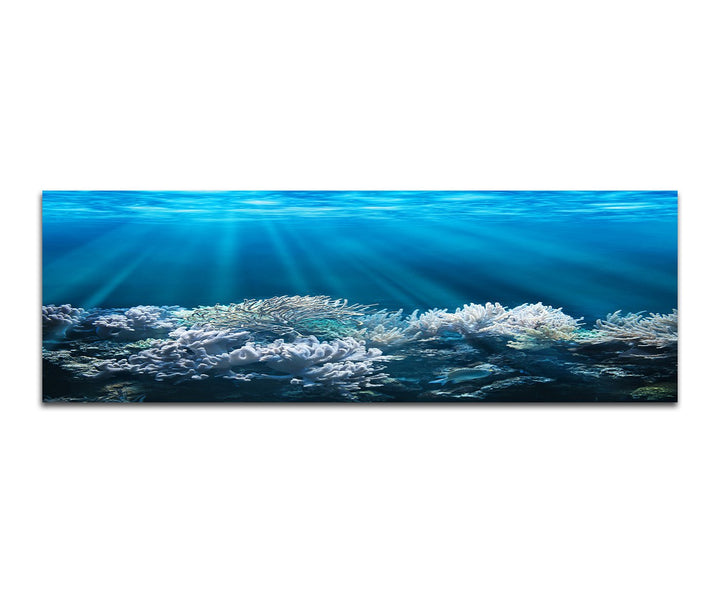 Paul Sinus Art Panoramabild auf Leinwand und Keilrahmen 150x50cm Meer Unterwasser Korallen Sonnenstr