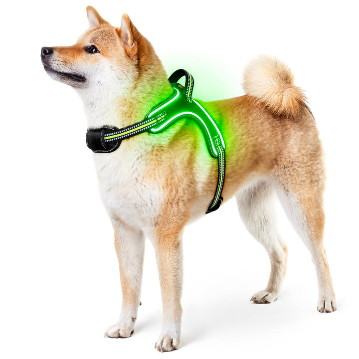 Light Up Light Hundegeschirr Leuchtend Aufladbar, LED Hundegeschirr mit Griff, Reflektierende Brustg