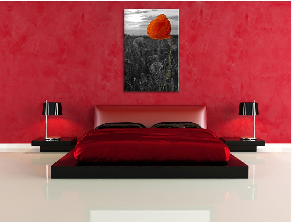 Mohnfeld B&W Detail, Format: 100x70 auf Leinwand, XXL riesige Bilder fertig gerahmt mit Keilrahmen,
