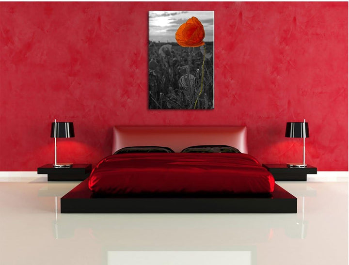 Mohnfeld B&W Detail, Format: 100x70 auf Leinwand, XXL riesige Bilder fertig gerahmt mit Keilrahmen,