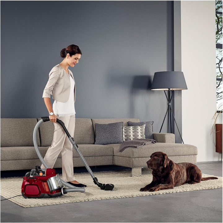 AEG LX7-2-CR-A Staubsauger beutellos / ideal für Haustierbesitzer / Zusatzdüsen + Spezialdüsen-Set f