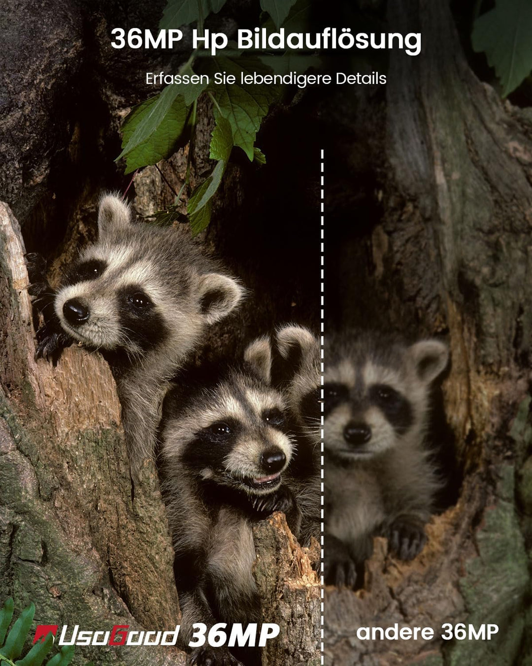 usogood Jagdkamera, Nachtsicht 36 Megapixel 4k HD Jagdkamera, IR Nachtsicht Tierfalle Kamera mit 8 w