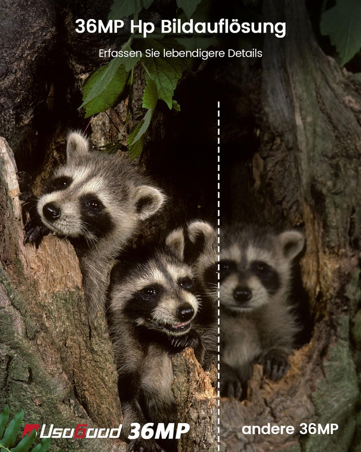 usogood Jagdkamera, Nachtsicht 36 Megapixel 4k HD Jagdkamera, IR Nachtsicht Tierfalle Kamera mit 8 w