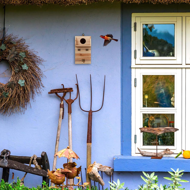Relaxdays Nistkasten für Kohlmeise &amp; Gartenrotschwanz, mit Reinigungsklappe, Holz, Vogelnistkasten z