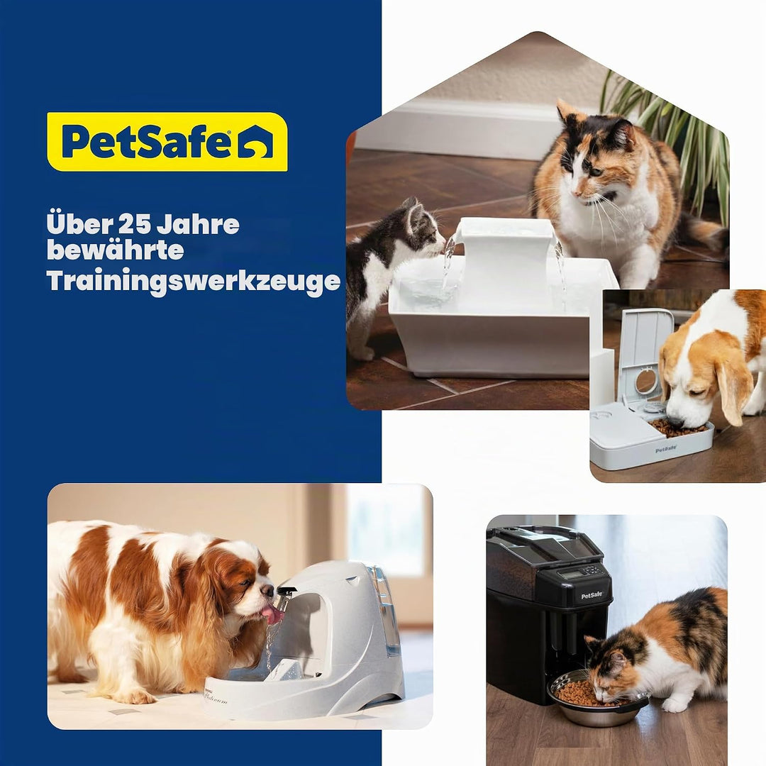PetSafe 2 Tierfutterteiler mit nur einem Napf, Futterautomat für zwei Hunde oder Katzen, BPA-freier