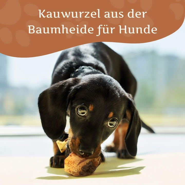 Wildfang® 3 Kauwurzel Hund (Grösse S) – Natürliches Kauholz aus Baumheide – Langlebiges & splitterfr