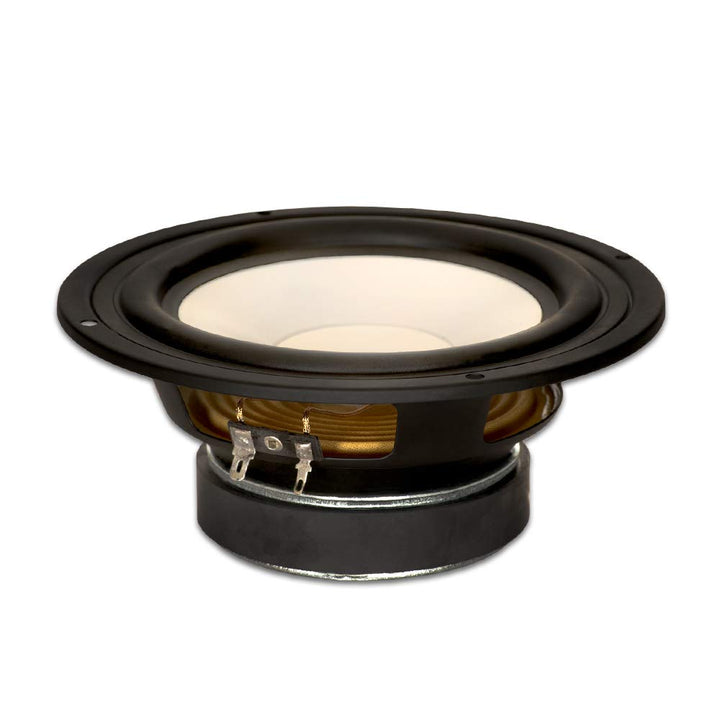 Goldwood Sound GW-S650/8 Poly Cone 16,5 cm Woofer 170 Watt 8 Ohm Ersatz-Lautsprecher, Schwarz 6.5-In