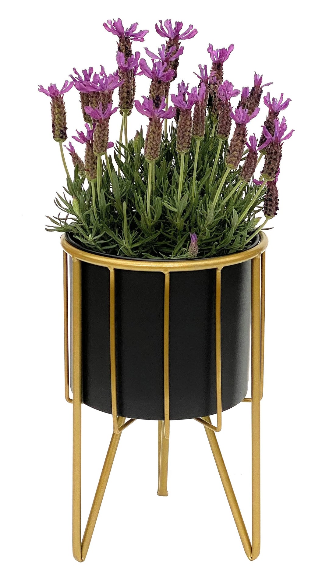 DanDiBo Blumenhocker mit Topf Metall Gold Schwarz Rund S 32 cm Blumenständer 96039 Blumensäule Moder