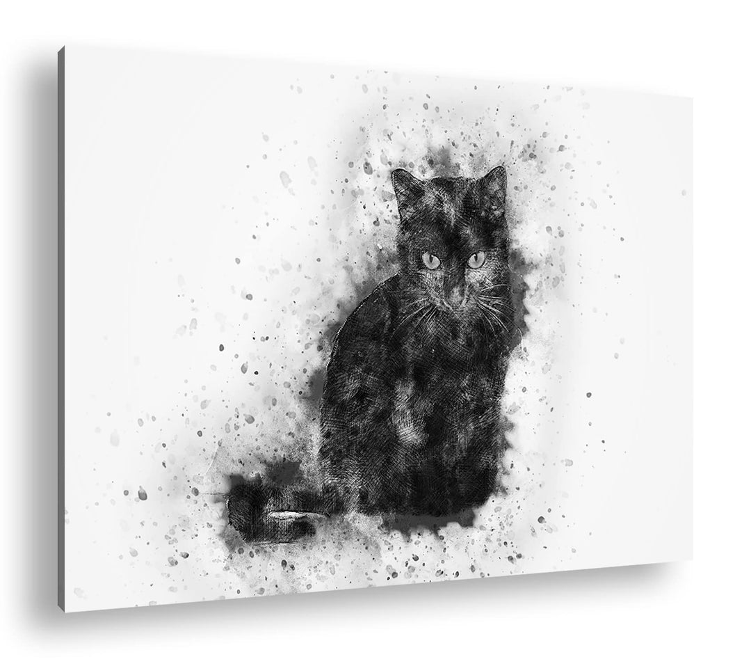 deyoli Katze Hauskatze Format: 80x60 Effekt: Schwarz&Weiss als Leinwandbild, Motiv fertig gerahmt au