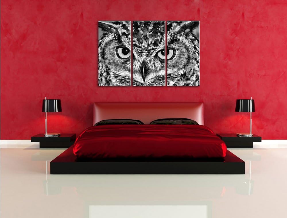 Pixxprint Eule mit gelben Augen als Leinwandbild/Grösse: 3 Teilig (120x80) cm/Wandbild/Kunstdruck/fe