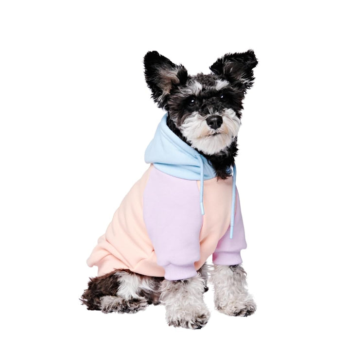 Spark Paws Hunde Hoodie Sweatshirt Pullover - Premium Qualität, weich, Komfortabel und passend für g