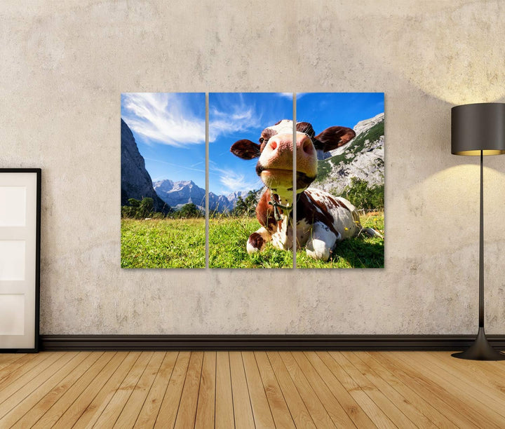 islandburner Bild auf Leinwand Kühe Im Karwendelgebirge In Österreich Bilder Wandbilder Poster Leinw