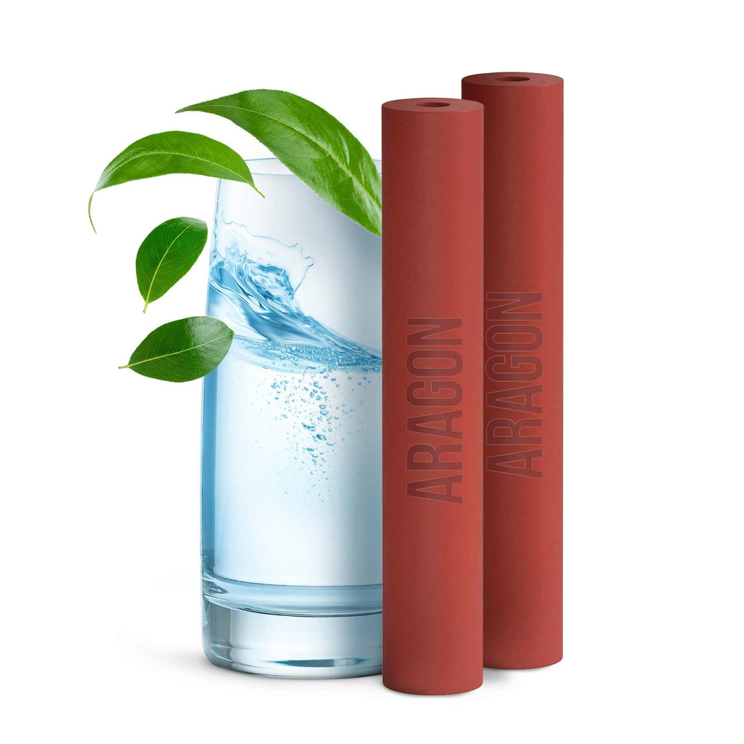 Aragon Filterkartusche für Geyser Euro Wasserhahnfilter, Packung mit 2 (6000L), Packung mit 2 (6000L