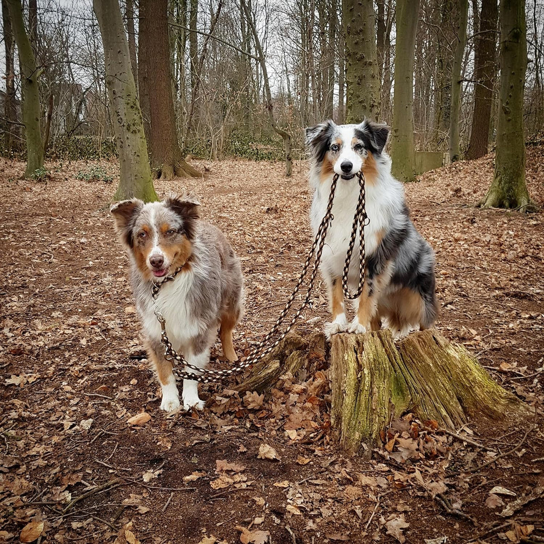 Hundeleine Doppelleine Übungsleine Führleine für mittlere Hunde bis 45 Kg über 39 Farben sehr stabil